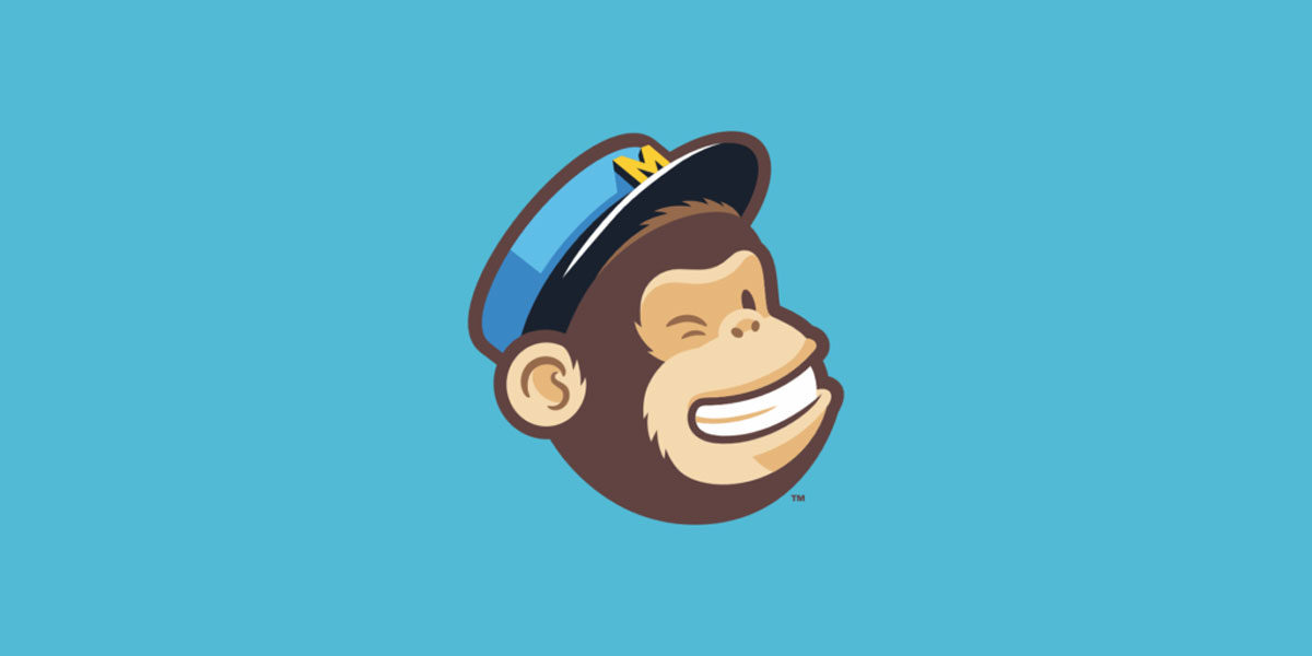 Should you mention MailChimp in your website privacy policy?